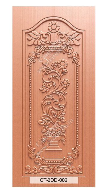 CT-2DD-002b CT-2DD-002